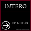 Picture of INTERO 20"x20" IFS O.H. Black Super Frame - Two Line