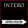 Picture of INTERO 20"x20" IFS O.H. Black Super Frame - Alt